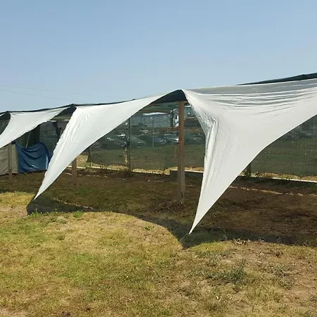 Camping Camping Robinson *